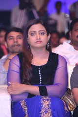 Dikkulu Choodaku Ramayya Movie Audio Launch